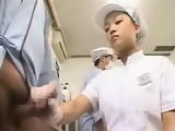 A tour of a Japanese group handjob milking factory HD | xvideosearch.com