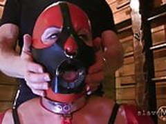 SLAVE M DUNGEON SESSION SHAME ROOM Part 2 Full Video | xvideosearch.com