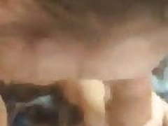 3 different girls all from Oakland county Michigan Free XXX | xvideosearch.com