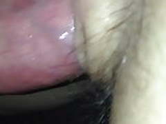 Homemade bbw doggystyle in lingerie close up pussy shot Free XXX | xvideosearch.com