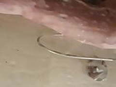 Voyeur wife, HD | xvideosearch.com