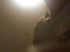 spa girl in srilanka malabe Online | xvideosearch.com