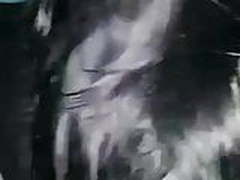 British wife HD | xvideosearch.com