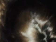 Sucking black dick Free XXX | xvideosearch.com