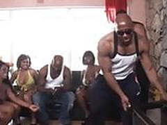 Jersey Shore XXX: A Black Parody Free XXX | xvideosearch.com