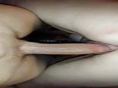 GIRLDFRIEND RIDING A FAT COCK + ANAL (no cum) Full Video | xvideosearch.com