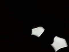 BINI ORANG PUAS Online | xvideosearch.com