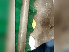 noia gostosa 3 HD | xvideosearch.com