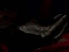 My home wife sax video n Bangladeshi sax video Hot Clip | xvideosearch.com