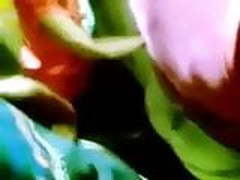 Gropin Full Video | xvideosearch.com