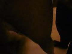 flo branle nos bites Free XXX | xvideosearch.com