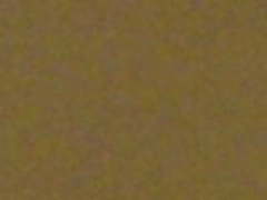 Keyhole bbq wife HD | xvideosearch.com