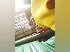 Rabao e cocaina HD | xvideosearch.com