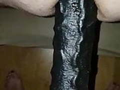 to the gay fuck mare HD | xvideosearch.com