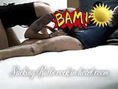 Sucking bulls cock in Chicago Hotel Hot Clip | xvideosearch.com