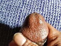 playtime Free XXX | xvideosearch.com