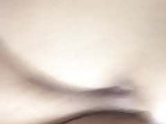 Cavala piscando o cuzinho Free XXX | xvideosearch.com