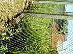 Ass HD | xvideosearch.com