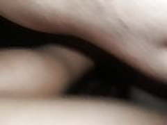 Casalporno HD | xvideosearch.com