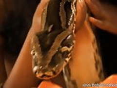 Snake Lover From The Far East Full Video | xvideosearch.com