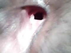 Amiga culona Hot Clip | xvideosearch.com