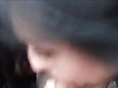 Car sucking Free XXX | xvideosearch.com