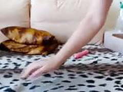 Amador-136 Online | xvideosearch.com