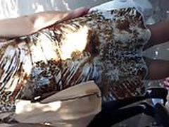 debaixo da saia bunda linda Free XXX | xvideosearch.com