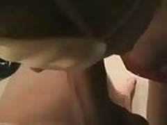 Blindfols and Blowjobs HD | xvideosearch.com