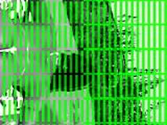 nasty pool woman Free XXX | xvideosearch.com