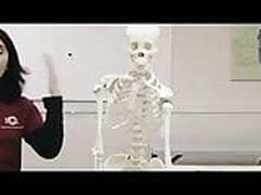 Toutes des salopes !!! Hot Clip | xvideosearch.com