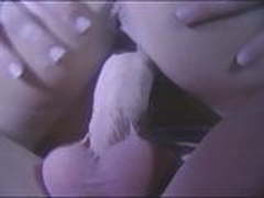 Butt fever Hot Clip | xvideosearch.com