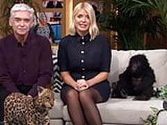 Morning show Free XXX | xvideosearch.com