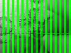 Mais sirica HD | xvideosearch.com