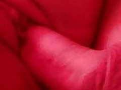 Fucking the love of my lives Free XXX | xvideosearch.com