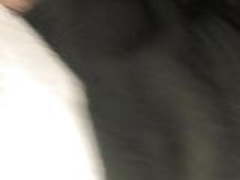 Soft ass dancing on my dick 4 Online | xvideosearch.com