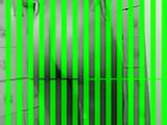 O Banho da Rabuda Online | xvideosearch.com