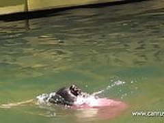 White makes transparency better Full Video | xvideosearch.com