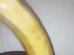 Salope 972 HD | xvideosearch.com