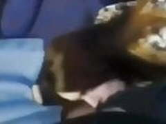 Billie Eilish Blowjob HD | xvideosearch.com