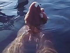 All dat Azz pt10 Free XXX | xvideosearch.com