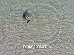 My Aussie, Thai and Pinoy girls suck me Online | xvideosearch.com