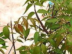 English HD | xvideosearch.com