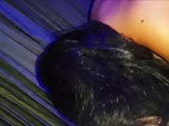 CARLOTA PREVIEW HD | xvideosearch.com