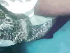 Dino Moci and Fernanda love 2 Free XXX | xvideosearch.com