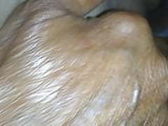 Hairy cunt hunt and fuck pussy HD | xvideosearch.com