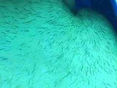 brook pussy play Free XXX | xvideosearch.com