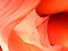 asss a teen Full Video | xvideosearch.com