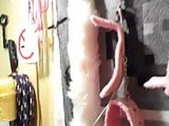 Slut fun Full Video | xvideosearch.com