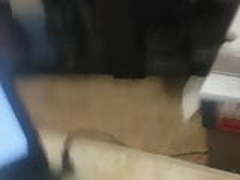 adult day Free XXX | xvideosearch.com